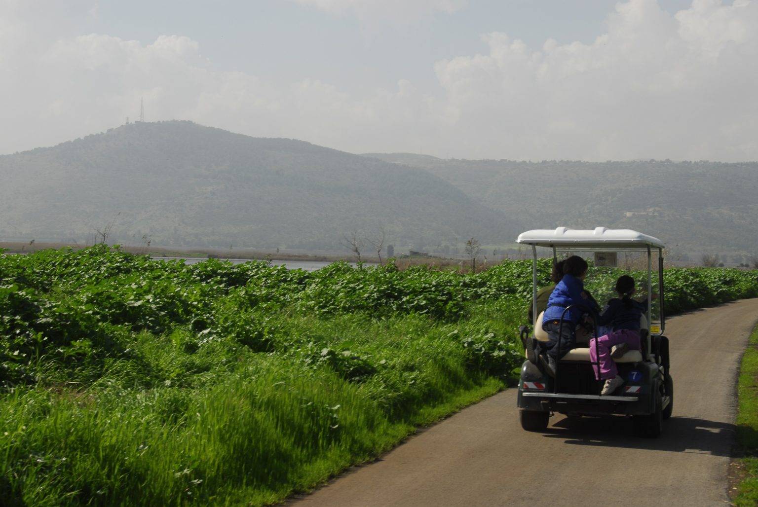 Agamon HaHula, Golf and Bike carts - KKL-JNF archive