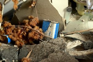 A Blue Box found among the ruins of a house destroyed by Hamas terrorists in Kibbutz Be'eri