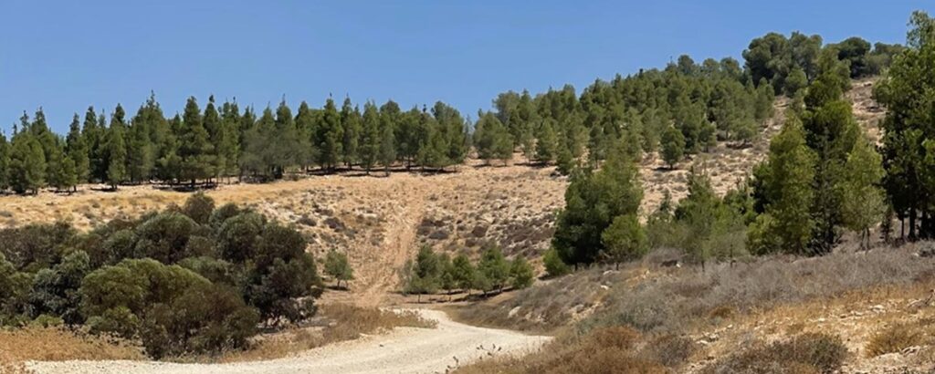 Photo by KKL-JNF Workers