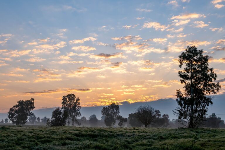 Photo by Bonnie Sheinman - KKL-JNF  Archive