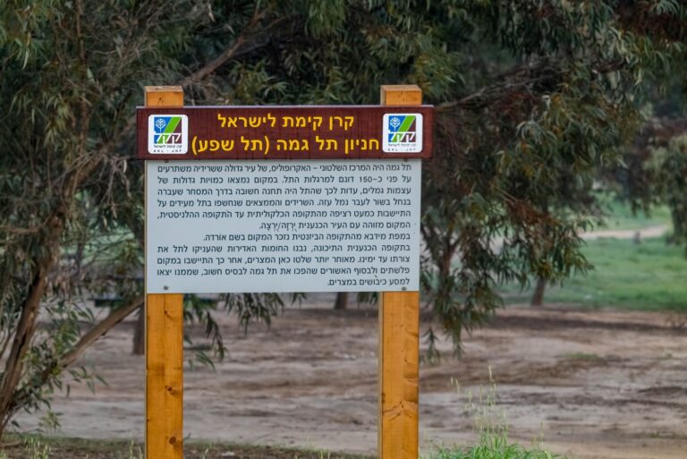 Photo by Bonnie Sheinman - KKL-JNF  Archive