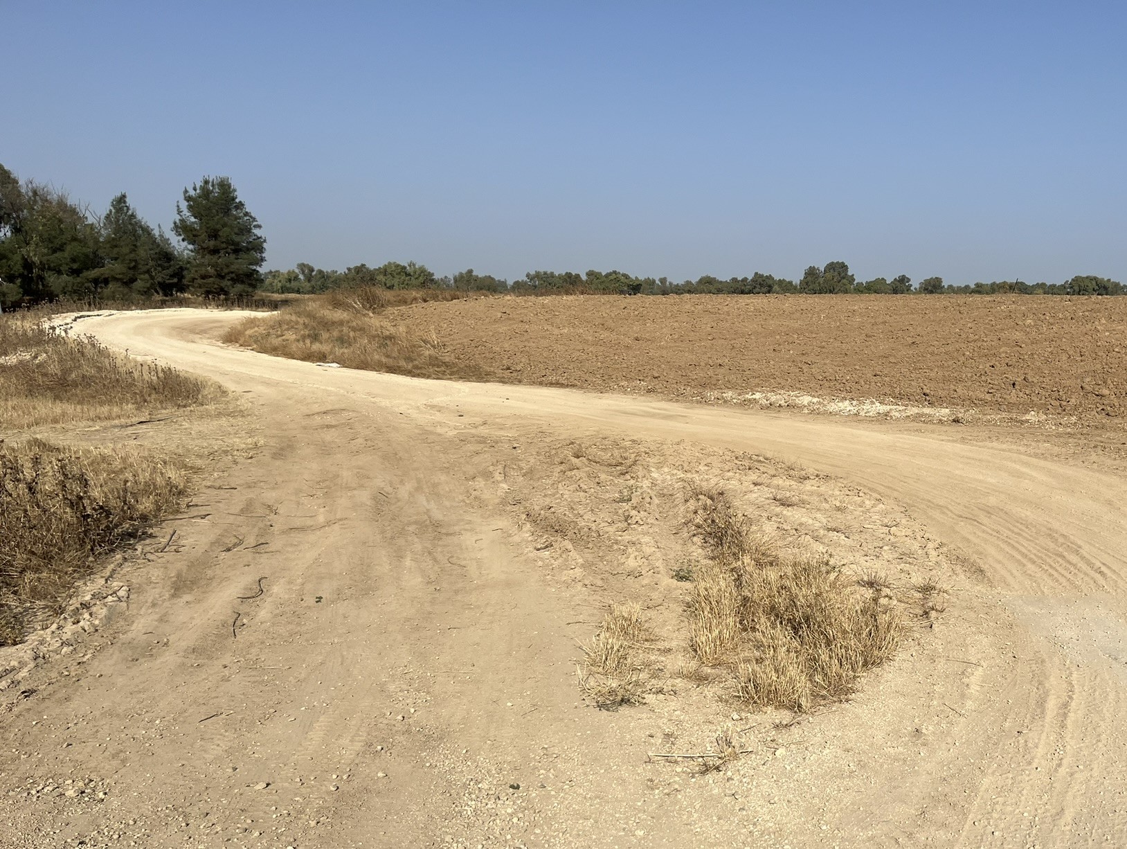 Photo by KKL-JNF photo archive