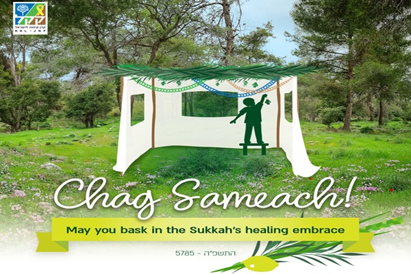 Sukkot-2-Design-by-Valeria-Gorrin.jpg