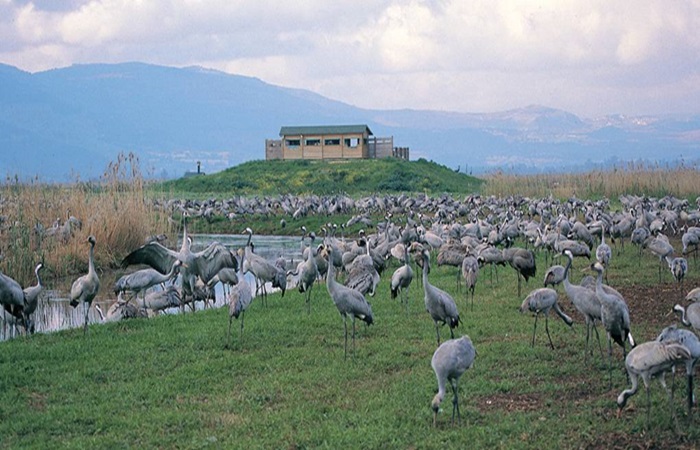 KKL-JNF Photo Archive