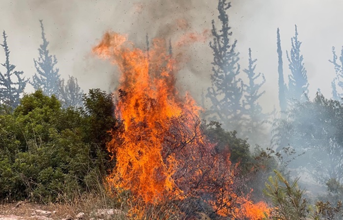 Credit KKL-JNF Workers and Foresters