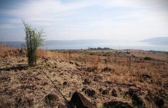 Rami Chahma, KKL-JNF-PhotoArchive-