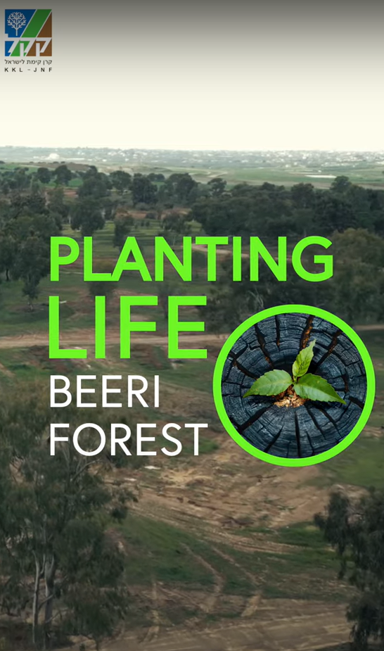 Be'eri Forest