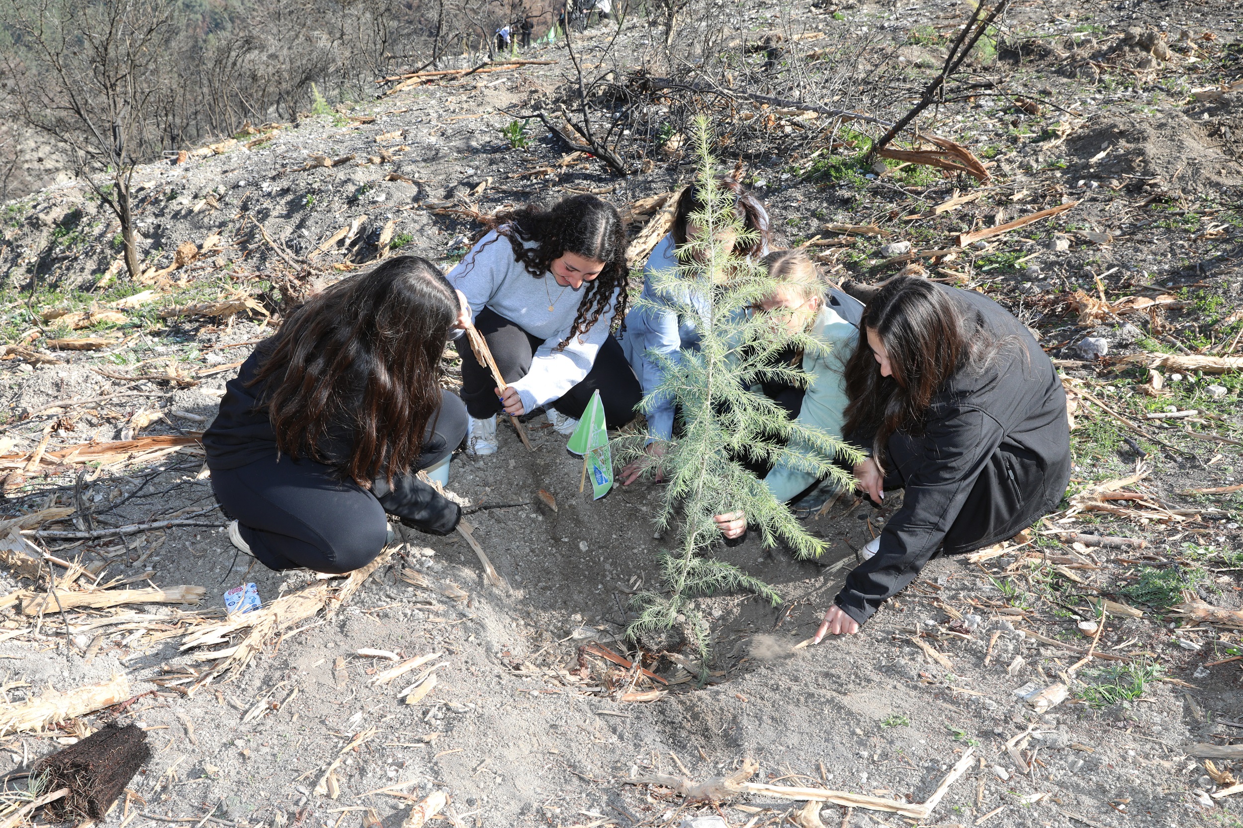 KKL-JNF Tu Bishvat Events