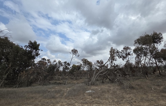 Ehud Mor Yosef and Shahar-Ezran