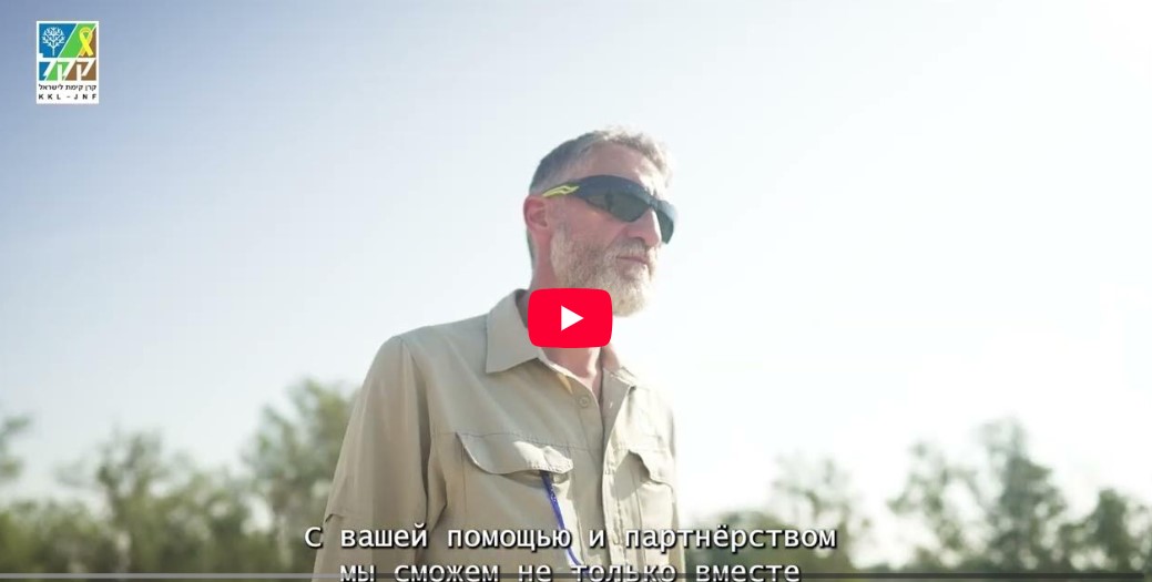 Rei'm Forest - Russian 