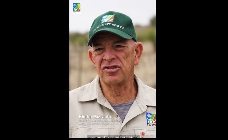 Amnun Forest - English Short