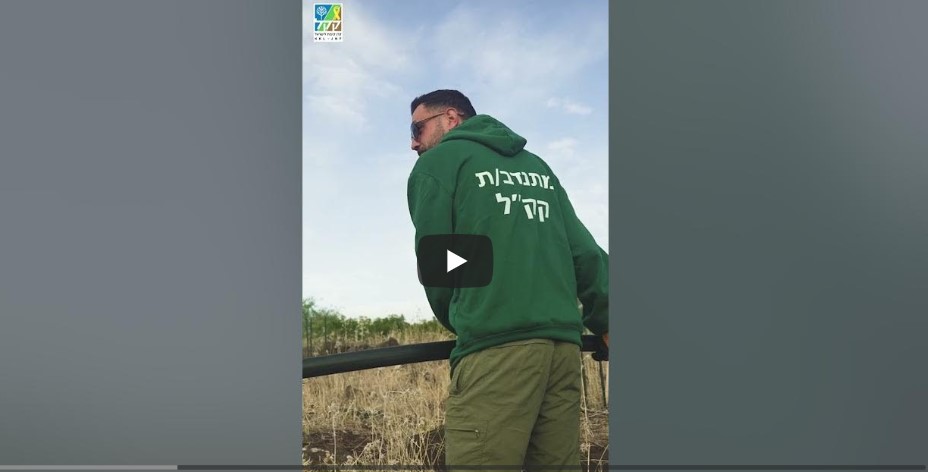 Amnun Forest - Hebrew Short 