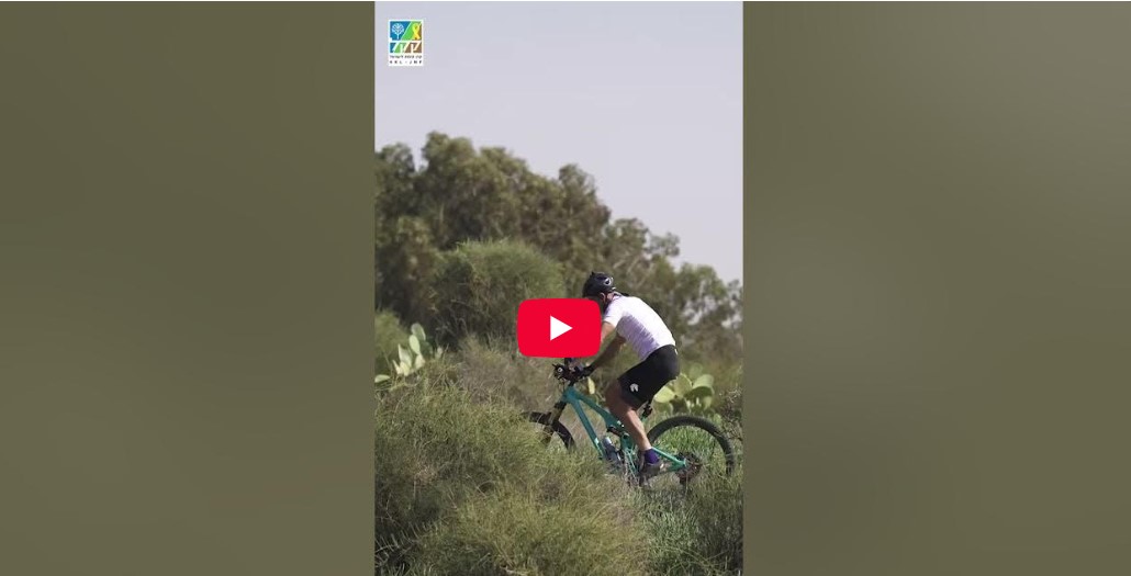 Rei'm Forest - Hebrew Short